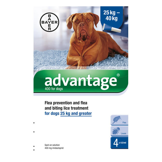 morning after pill for dogs advantage 400 for dogs 4 pipettes chemist direct morning after pill for dogs advantage 400 for dogs 4 pipettes chemist direct