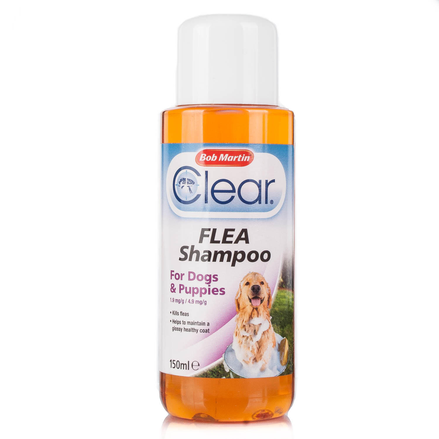 Flea Shampoo Uk For Dogs And Puppies Flea Shampoo Uk For Dogs And Puppies