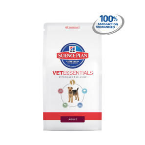Hills Vet Essentials Puppy Food Review Hills Vet Essentials Puppy Food Review