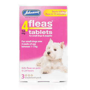 flea pills for puppies johnsons 4fleas tablets for small puppies chemist direct flea pills for puppies johnsons 4fleas tablets for small puppies chemist direct