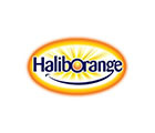 Haliborange