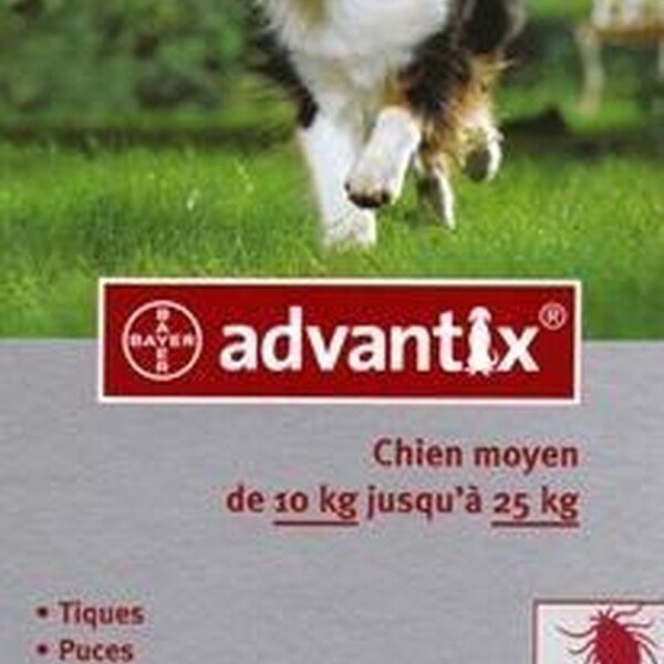 Advantix 250 For Dogs 10-25kg