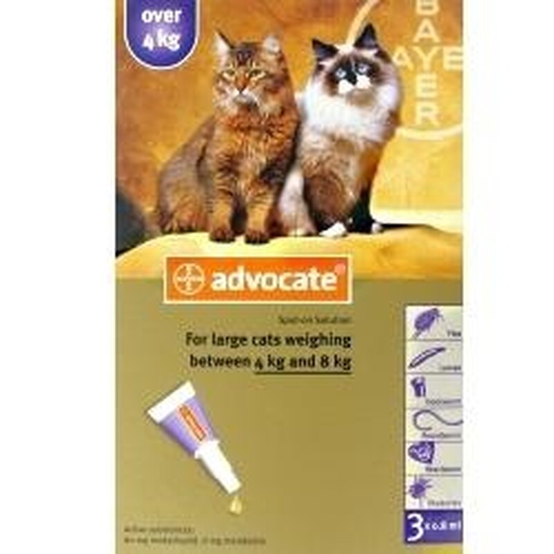 Advocate Katze Erfahrungen Advocate Katze Erfahrungen