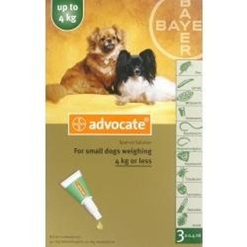 Advocate For Small Dogs Advocate for Small Dogs Upto 4kg | Dog Health | Chemist Direct