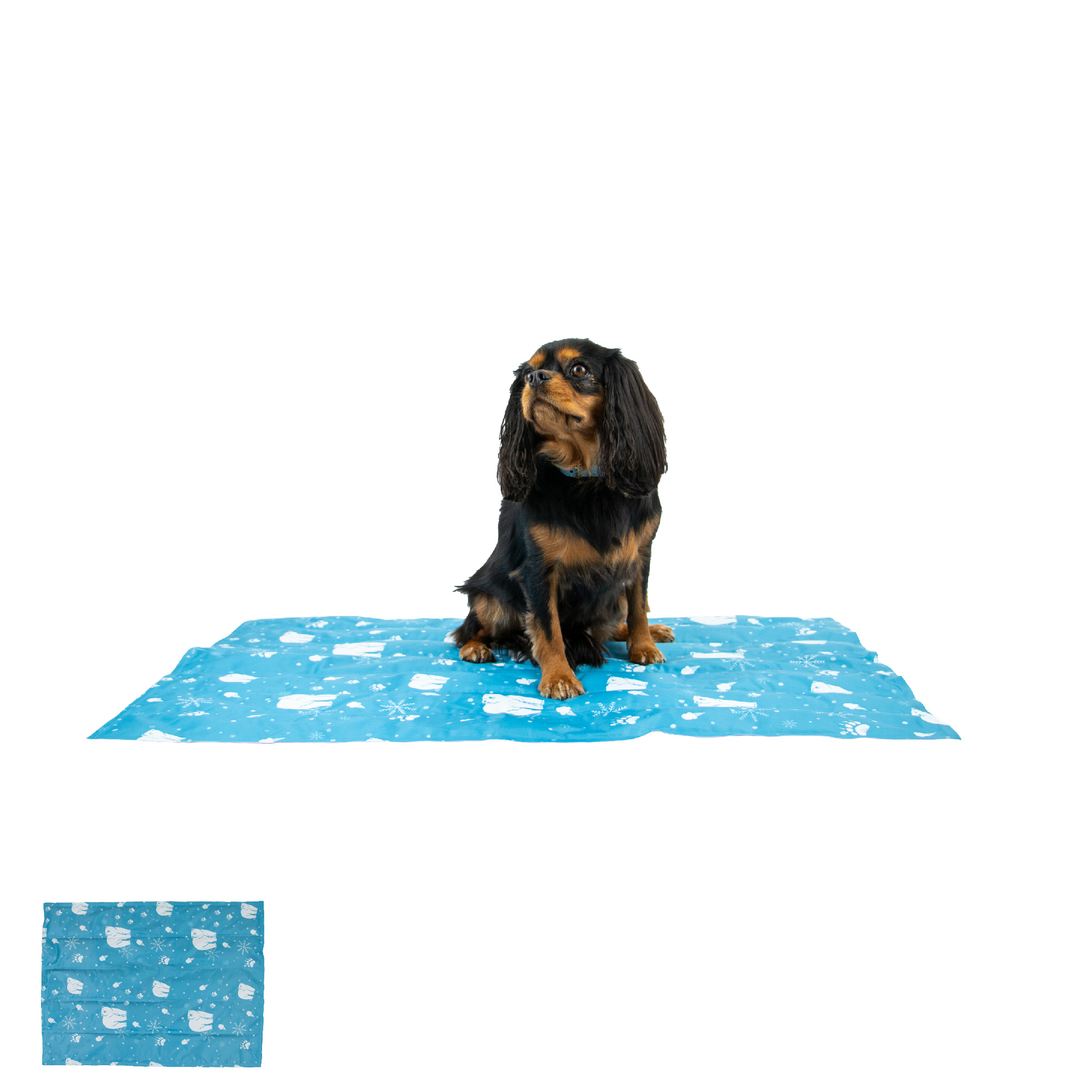 Ancol Small Cooling Mat 45x60cm
