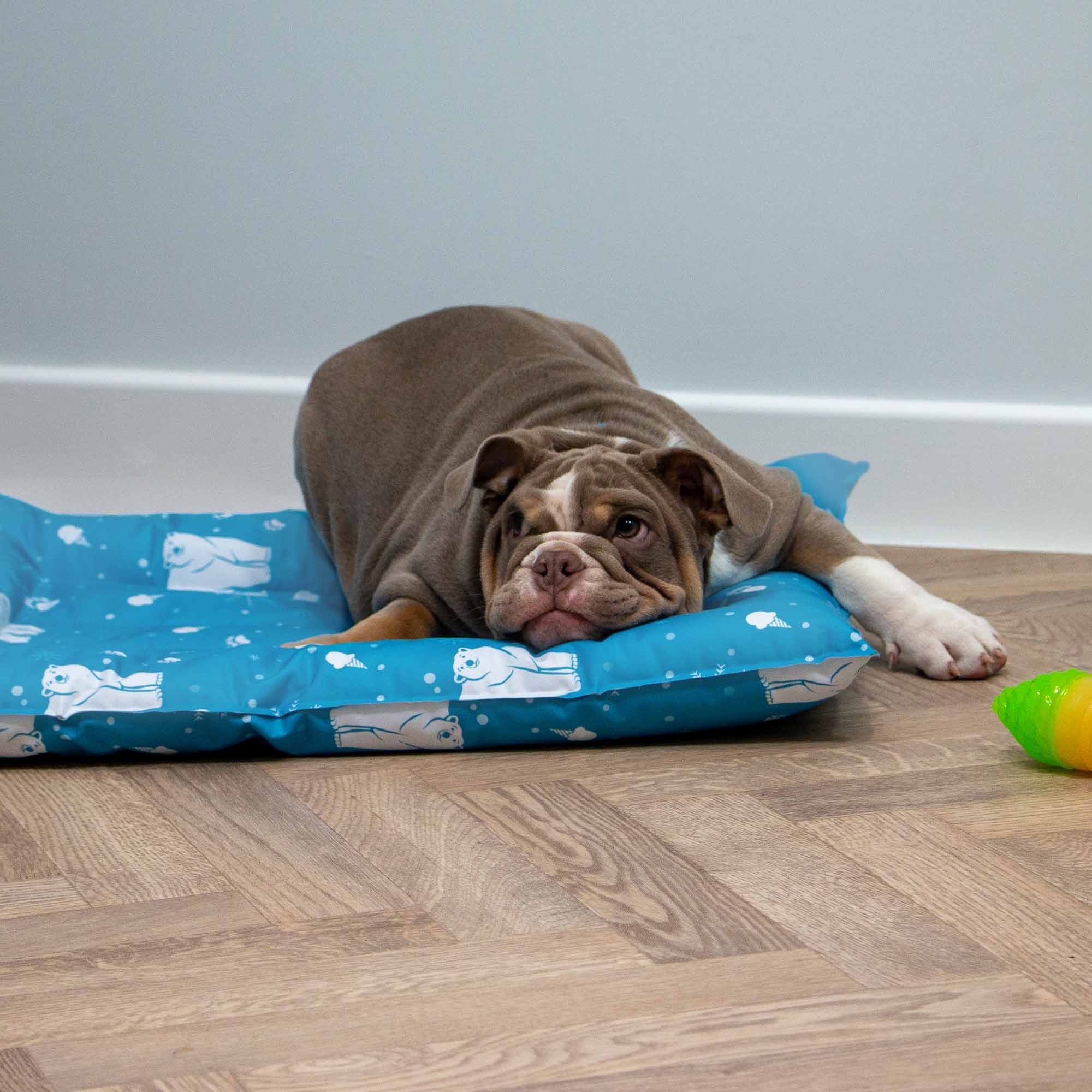 Ancol Ice Paws Cooling Bed Small 56cm X 66cm