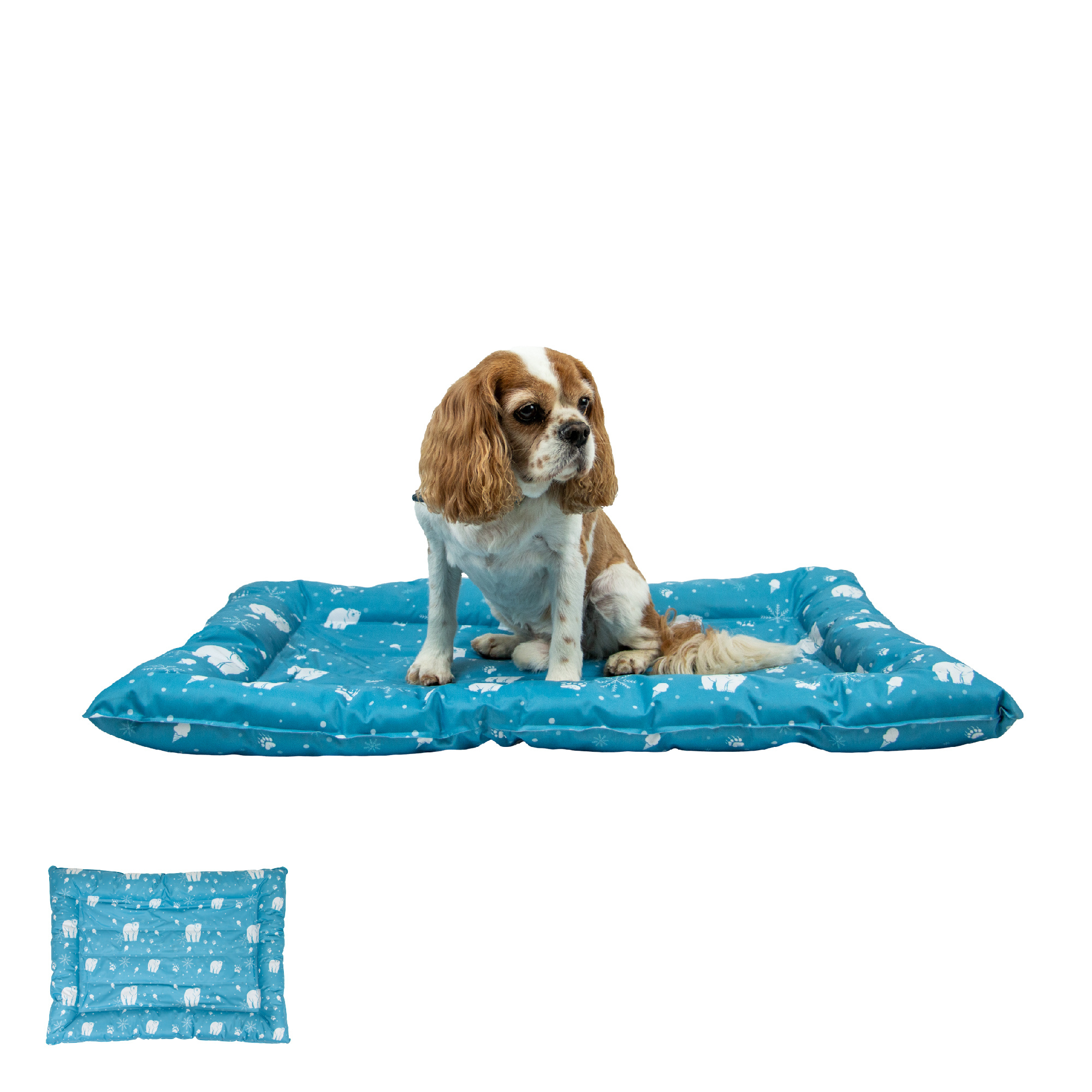 Ancol Ice Paws Cooling Bed Small 56cm X 66cm