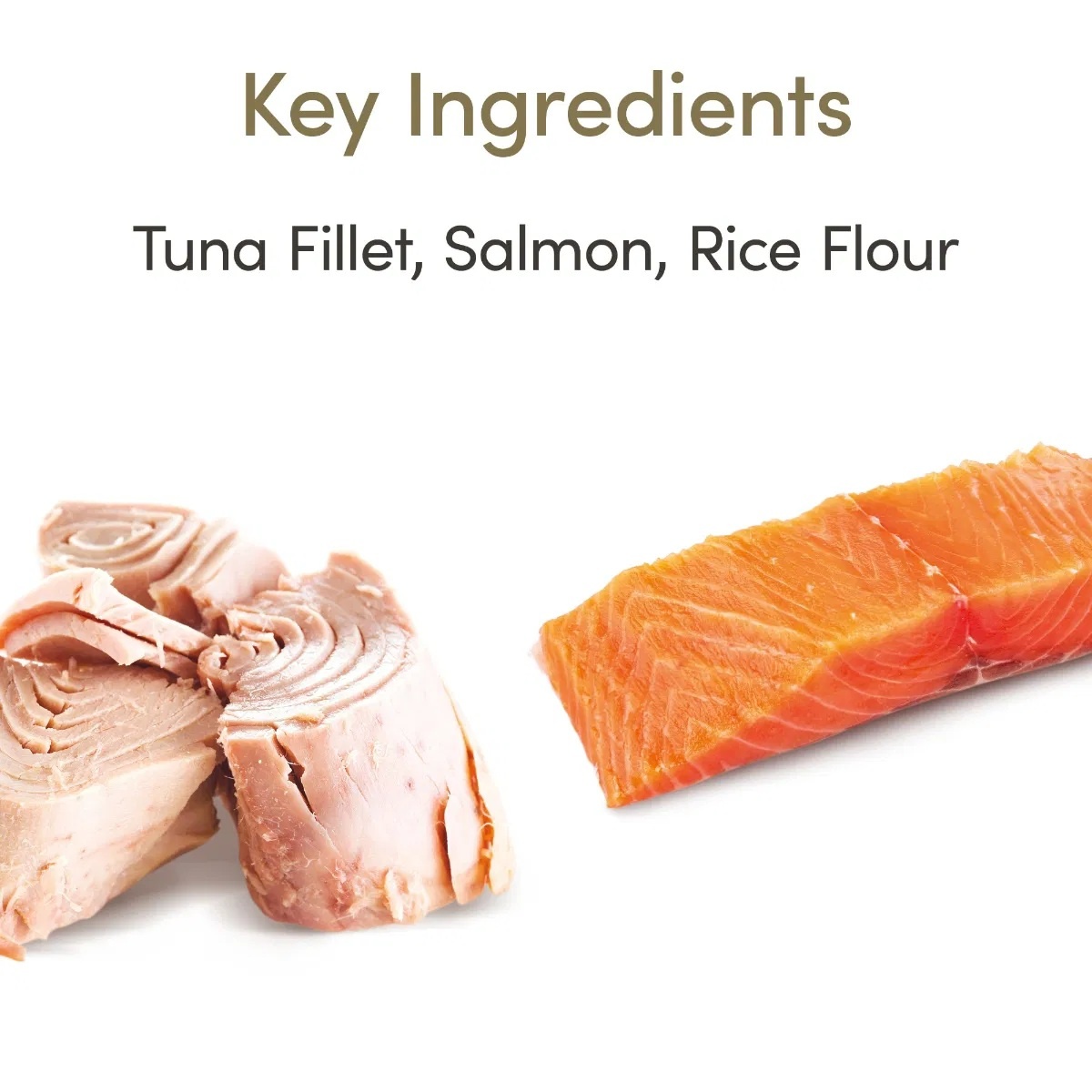 Applaws Adult Wet Cat Food Tuna Fillet & Salmon in Jelly 24x70g