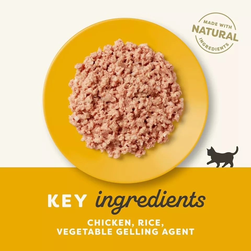 Applaws Wet Kitten Food Chicken 70g x 24