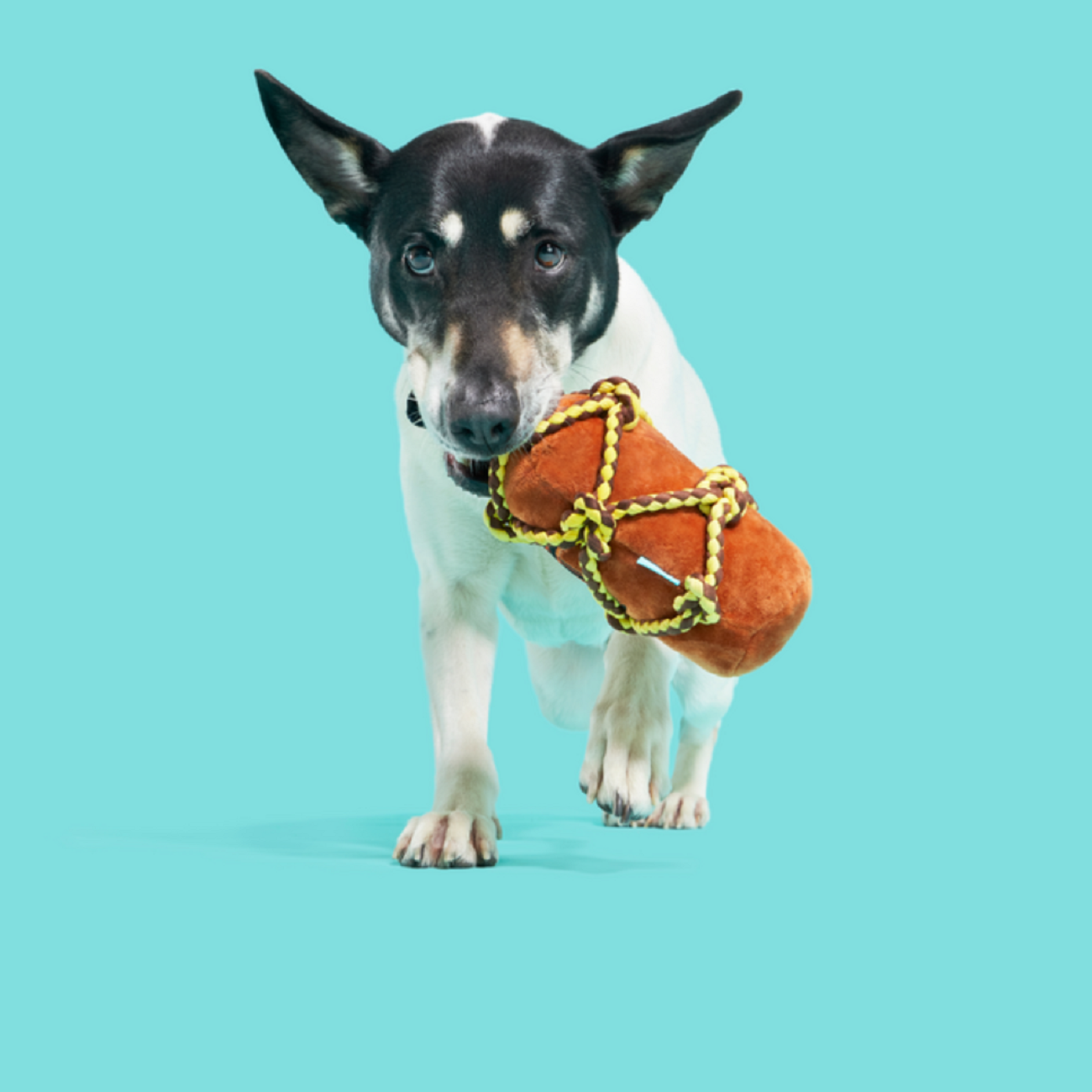 Bark Barkbeard'S Rum Dog Toy