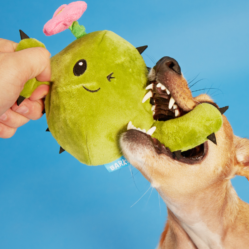 Bark Consuela The Cactus Dog Toy - Main Image