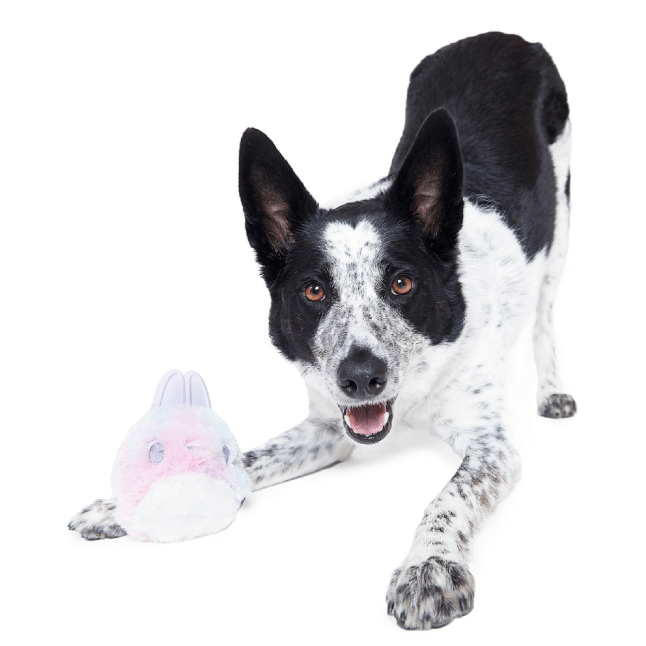 Bark Hippie Hopper Dog Toy