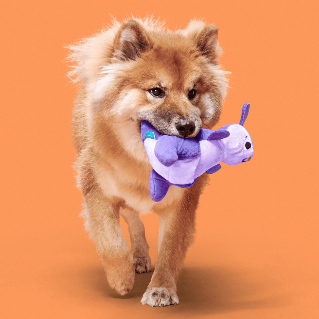 Bark Topanga Kanga Dog Toy