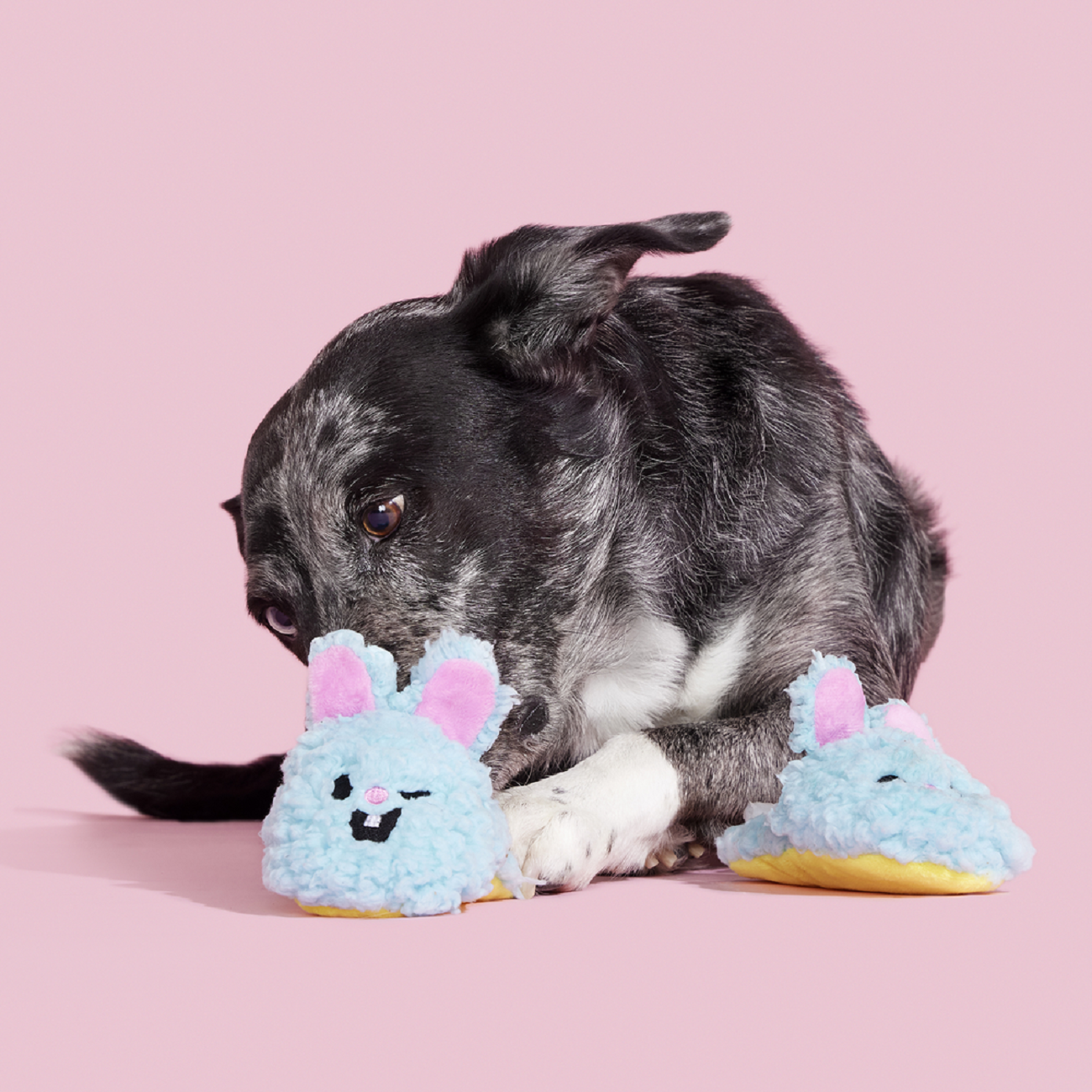 Bark Yippy & Skippy Slippies Dog Toy