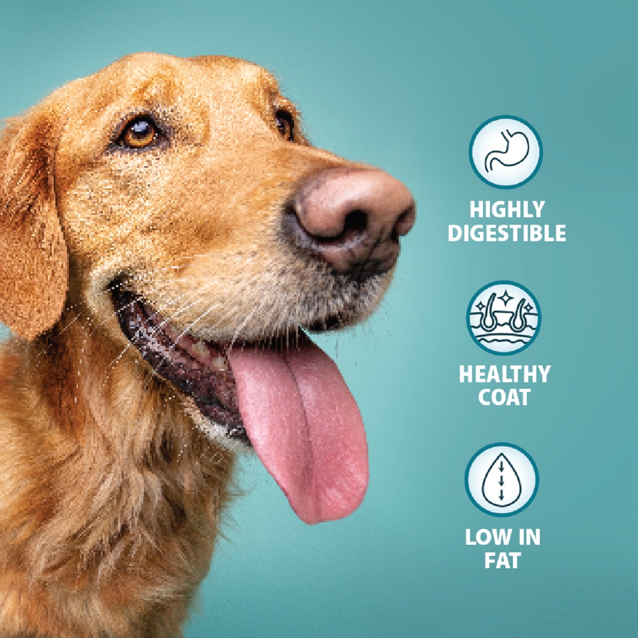 Burns Dog Adult & Senior Hypoallergenic Mixer 2kg