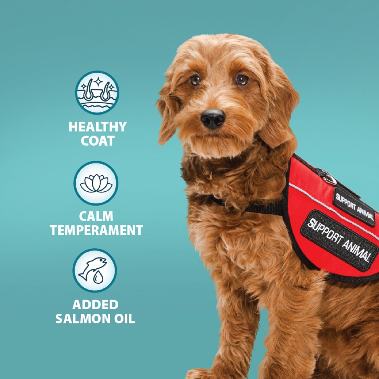 Burns Dog Alert Assistance Lamb & Brown Rice 12kg