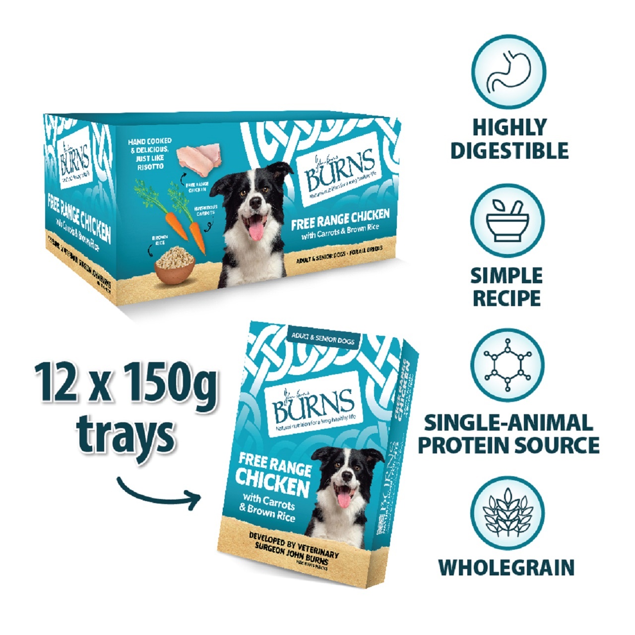 Burns Wet Dog Food Chicken Veg & Brown Rice 12 Pack 150g