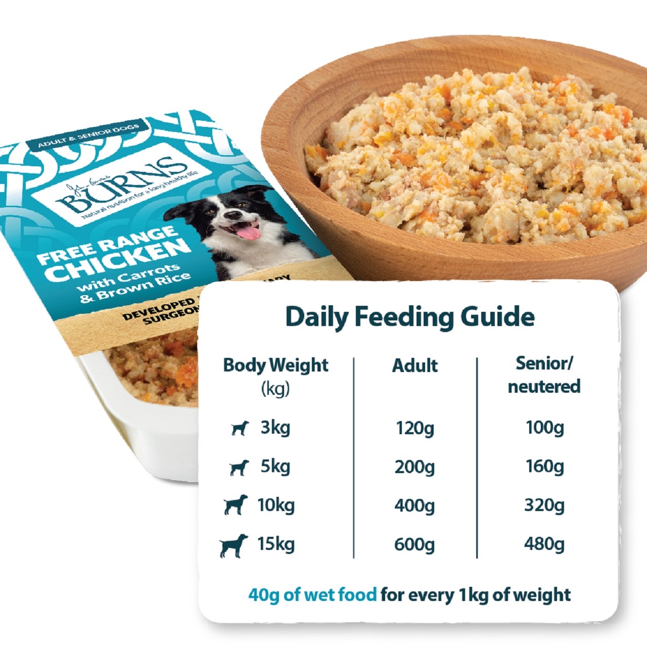 Burns Wet Dog Food Chicken Veg & Brown Rice 6 Pack 395g
