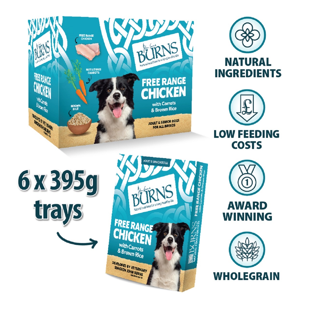 Burns Wet Dog Food Chicken Veg & Brown Rice 6 Pack 395g