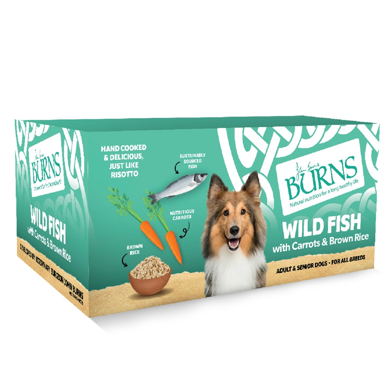 Burns Wet Dog Food Fish Veg & Brown Rice 6 Pack 395g