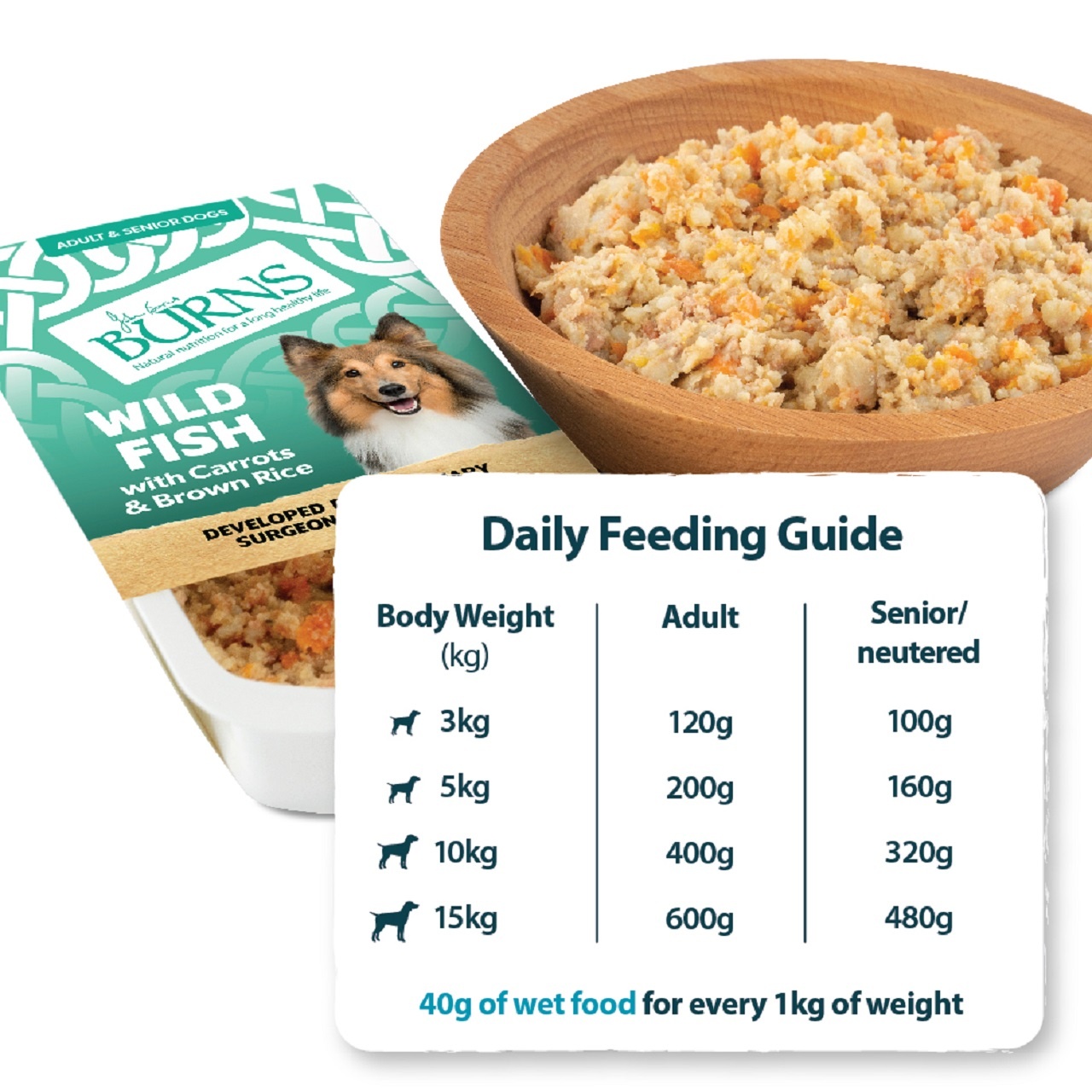Burns Wet Dog Food Fish Veg & Brown Rice 6 Pack 395g