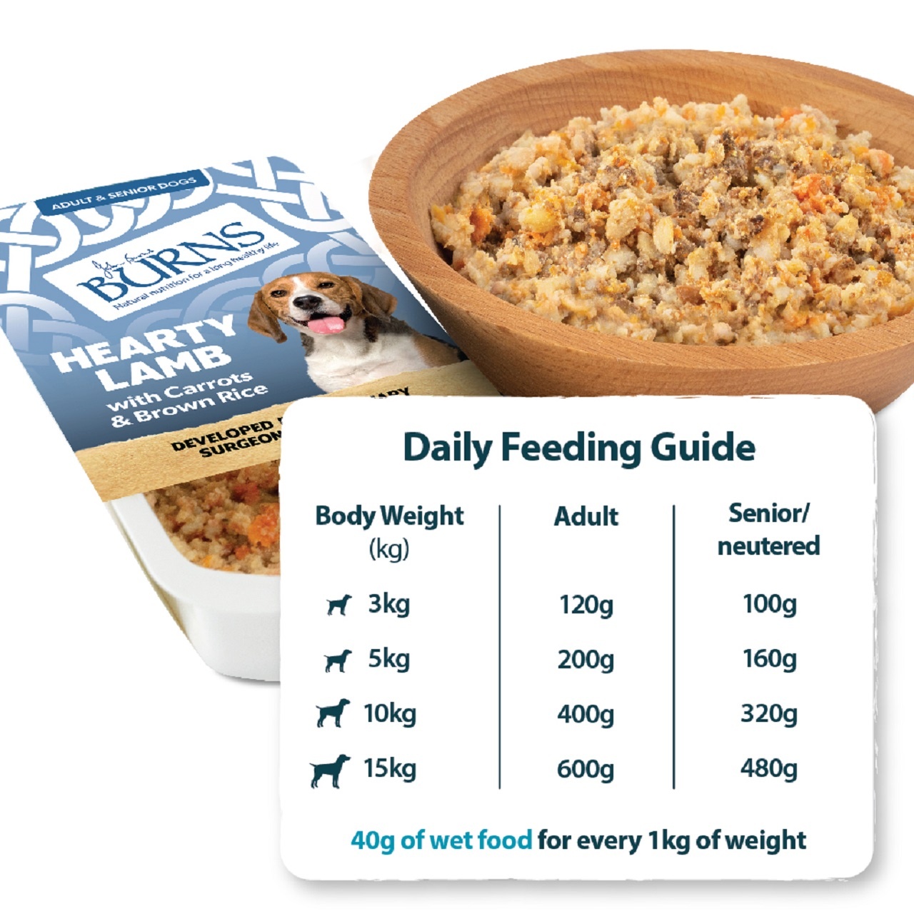 Burns Wet Dog Food Lamb Veg & Brown Rice 12 Pack 150g