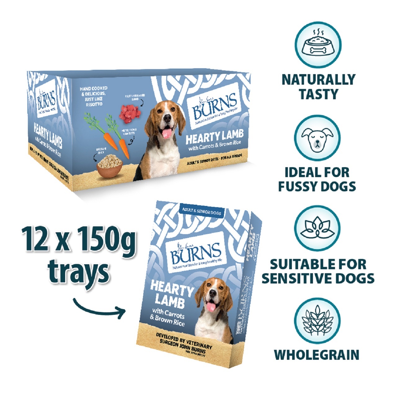 Burns Wet Dog Food Lamb Veg & Brown Rice 12 Pack 150g