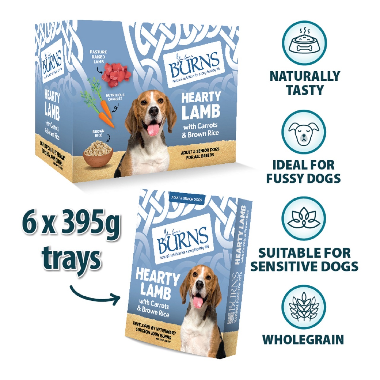 Burns Wet Dog Food Lamb Veg & Brown Rice 6 Pack 395g