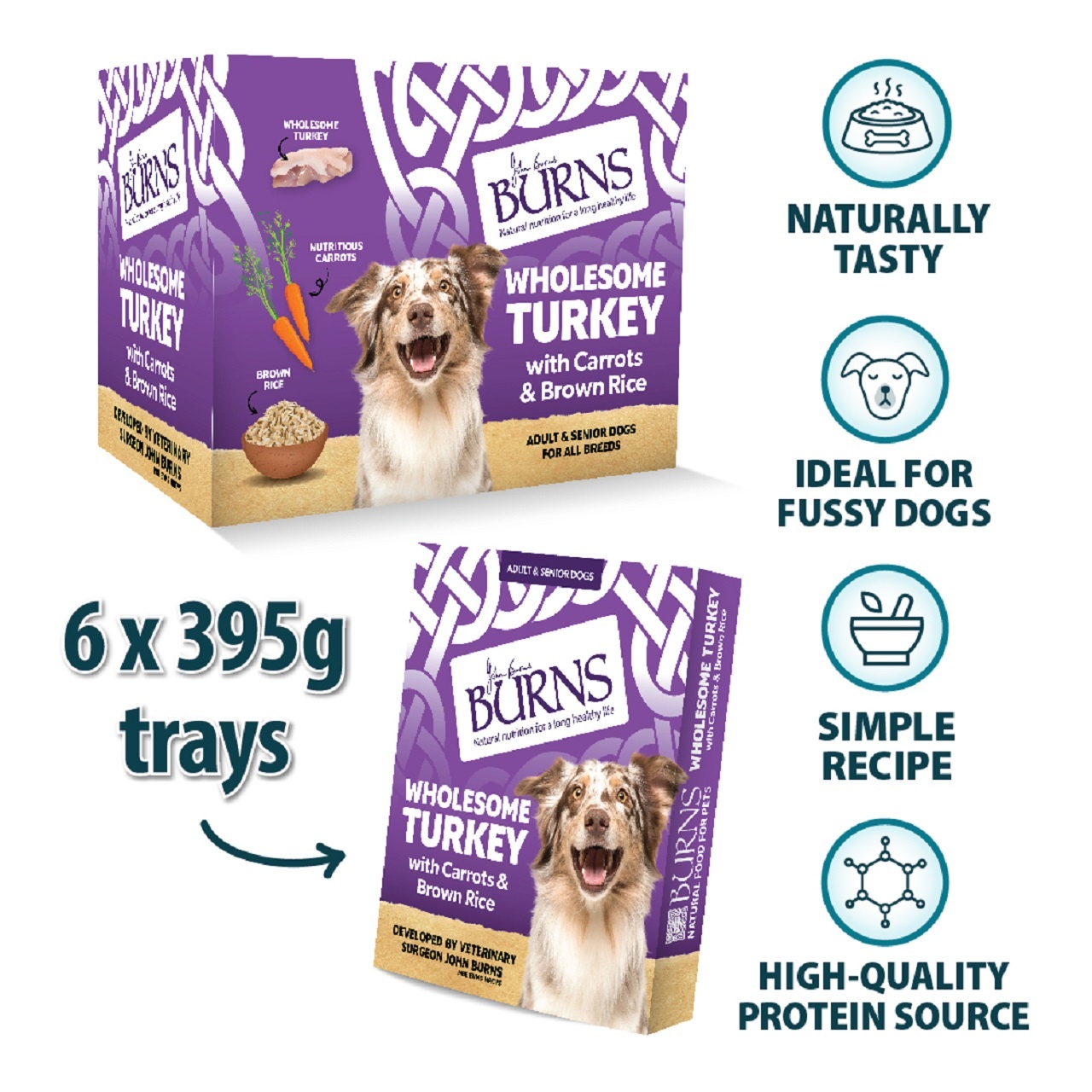 Burns Wet Dog Food Wholesome Turkey & Rice & Veg 6 X 395g