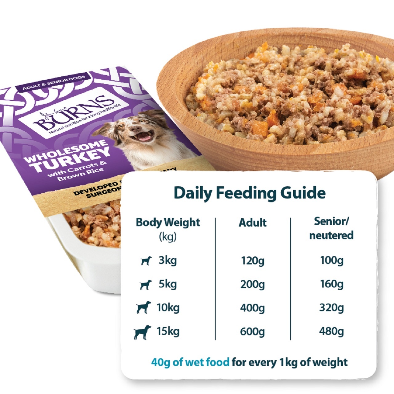 Burns Wet Dog Food Wholesome Turkey & Rice & Veg 6 X 395g