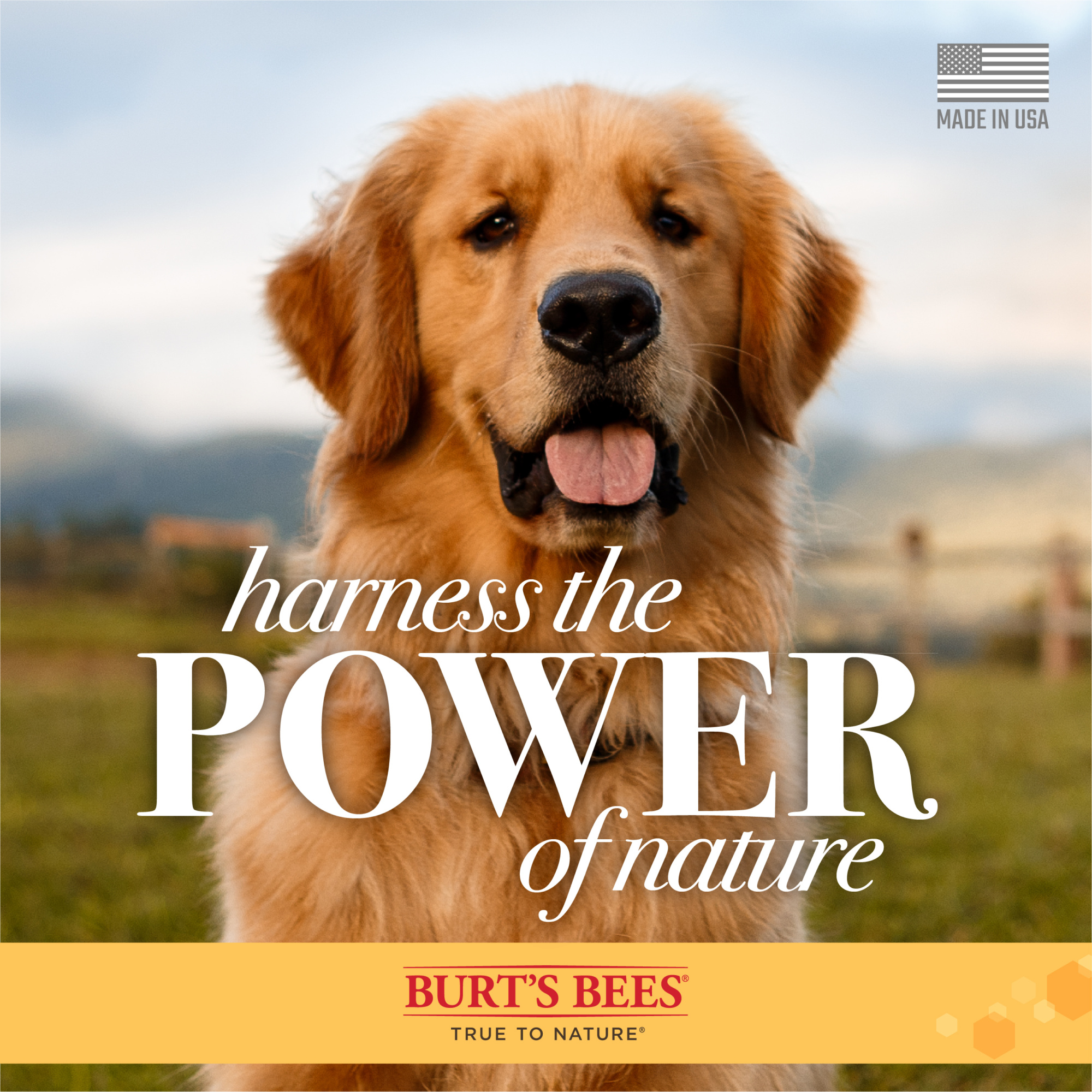 Burt's Bees Oatmeal Dog Conditioner For Dogs 10oz