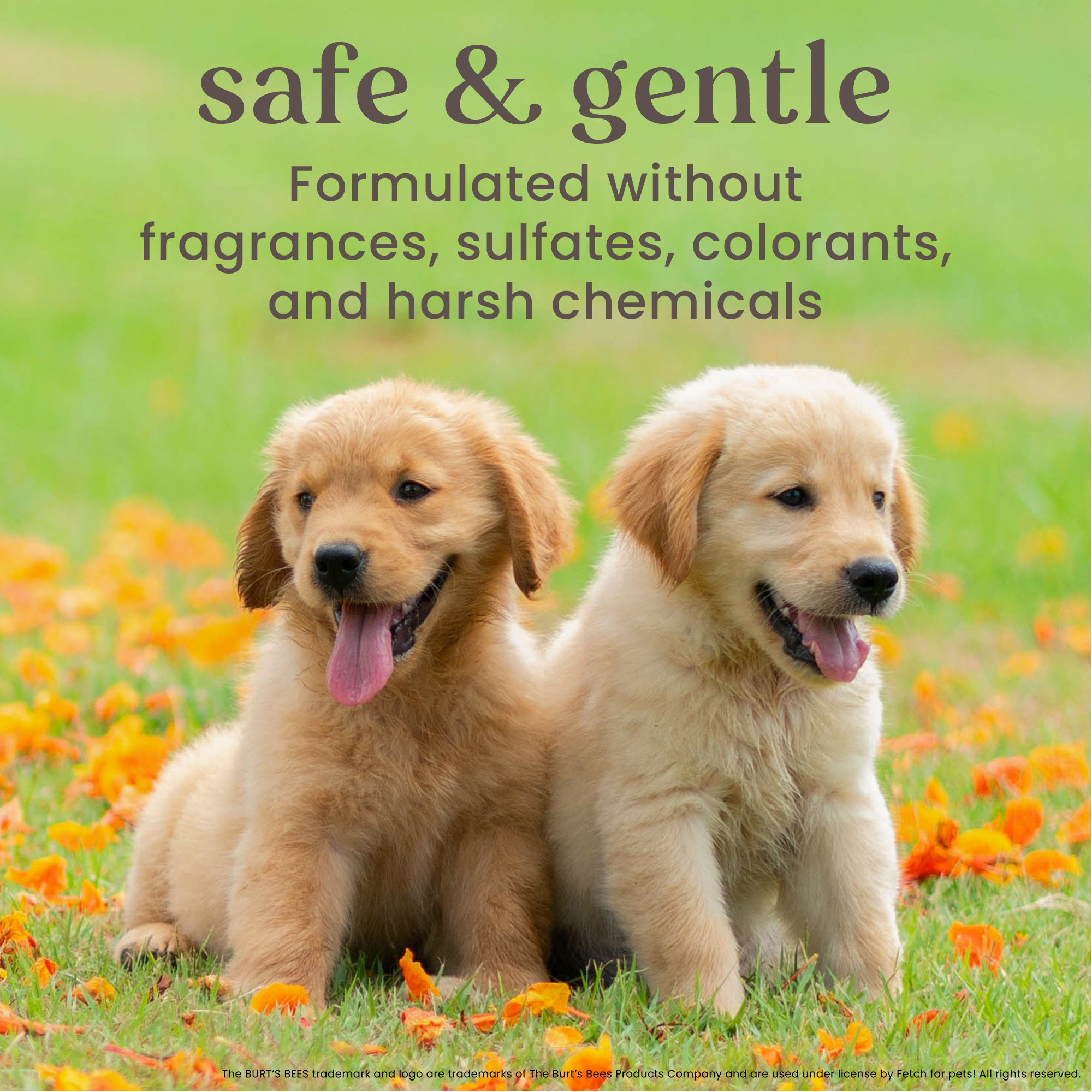 Burts Bees Tearless 2 in1 Shampoo & Conditioner For Puppies 16oz