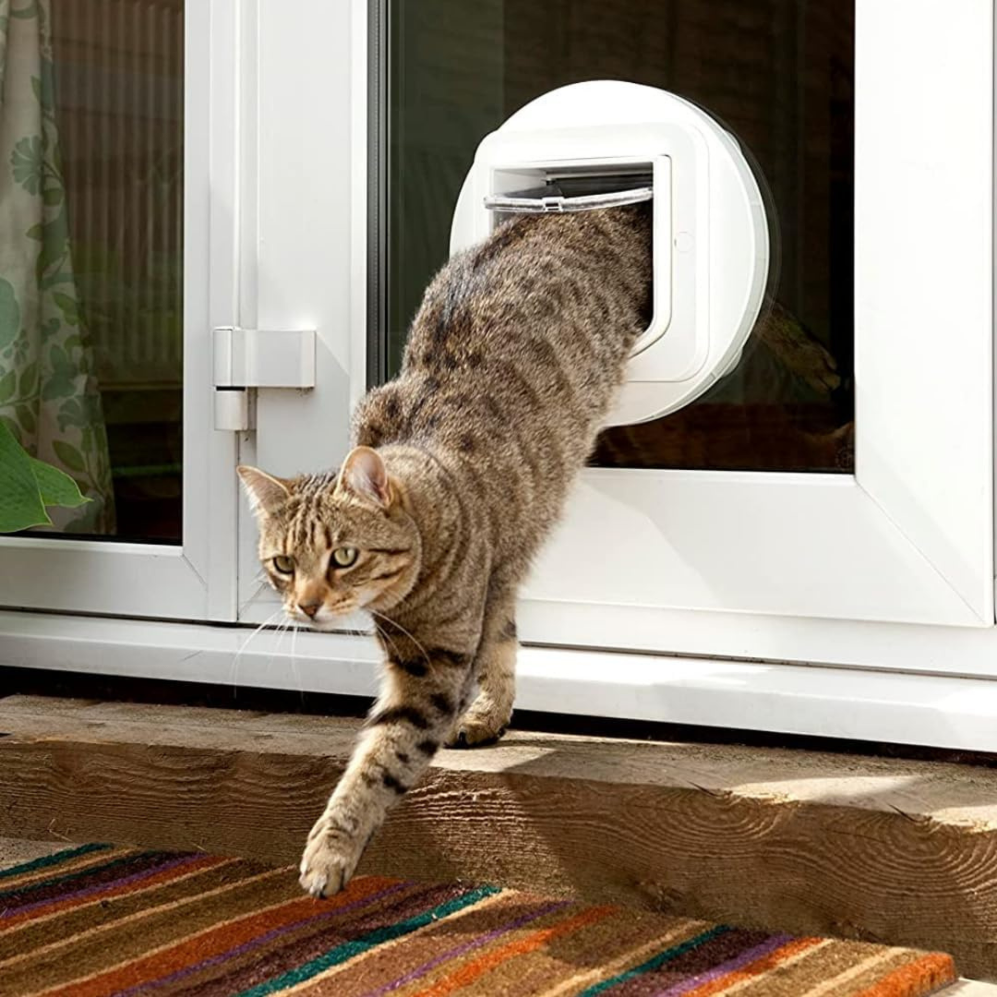 Cat Flap Tunnel Extender - White - single