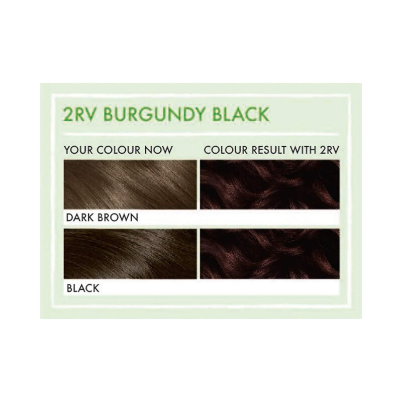 Clairol Natural Instincts Hair Dye, 2RV Burgundy Black