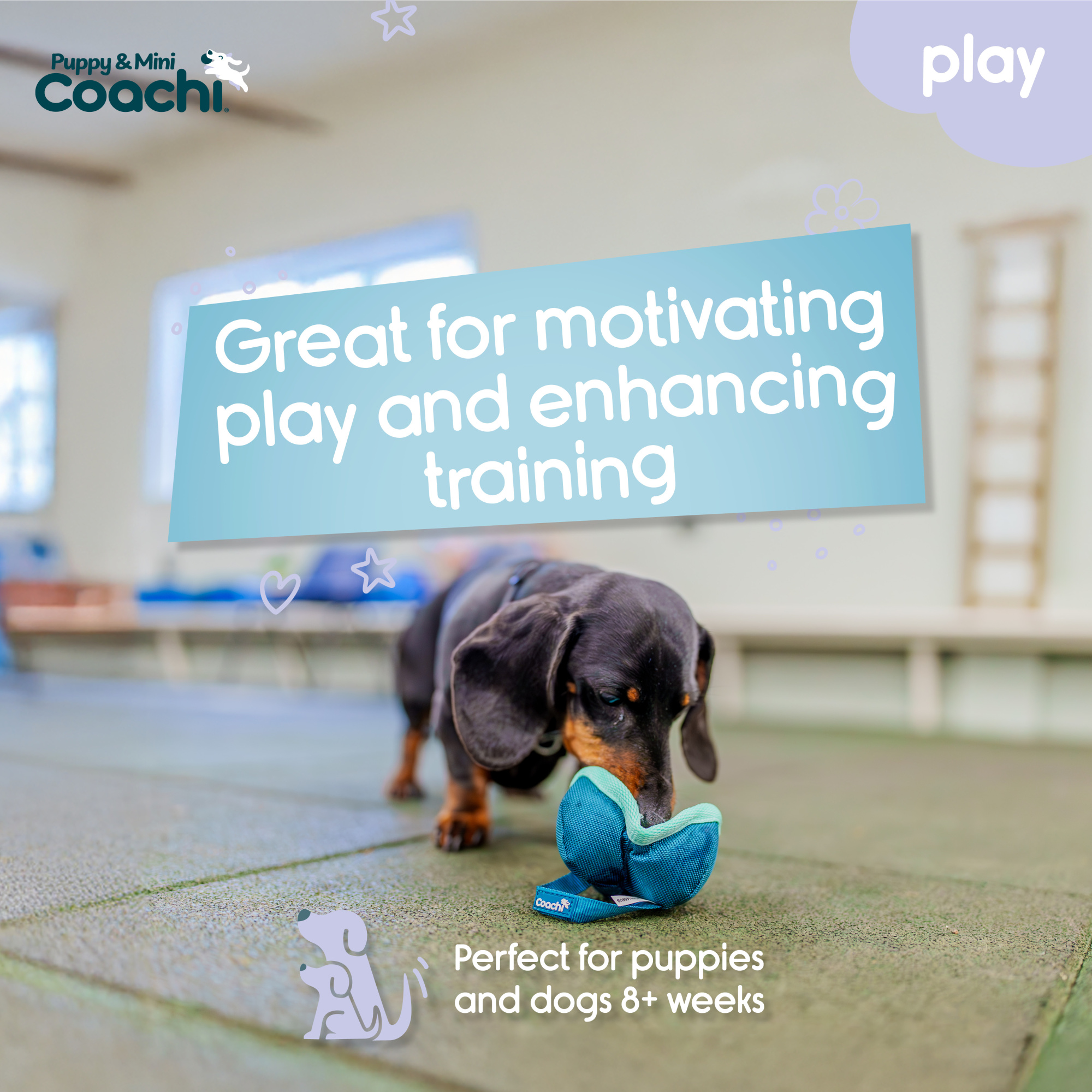 Coachi Puppy & Mini Chase & Treat Teal & Mint