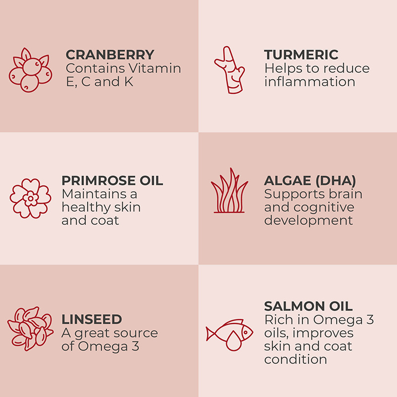 Popcorn Paws Doggy Dazzler- Healthy Skin & Coat with Omega Oils