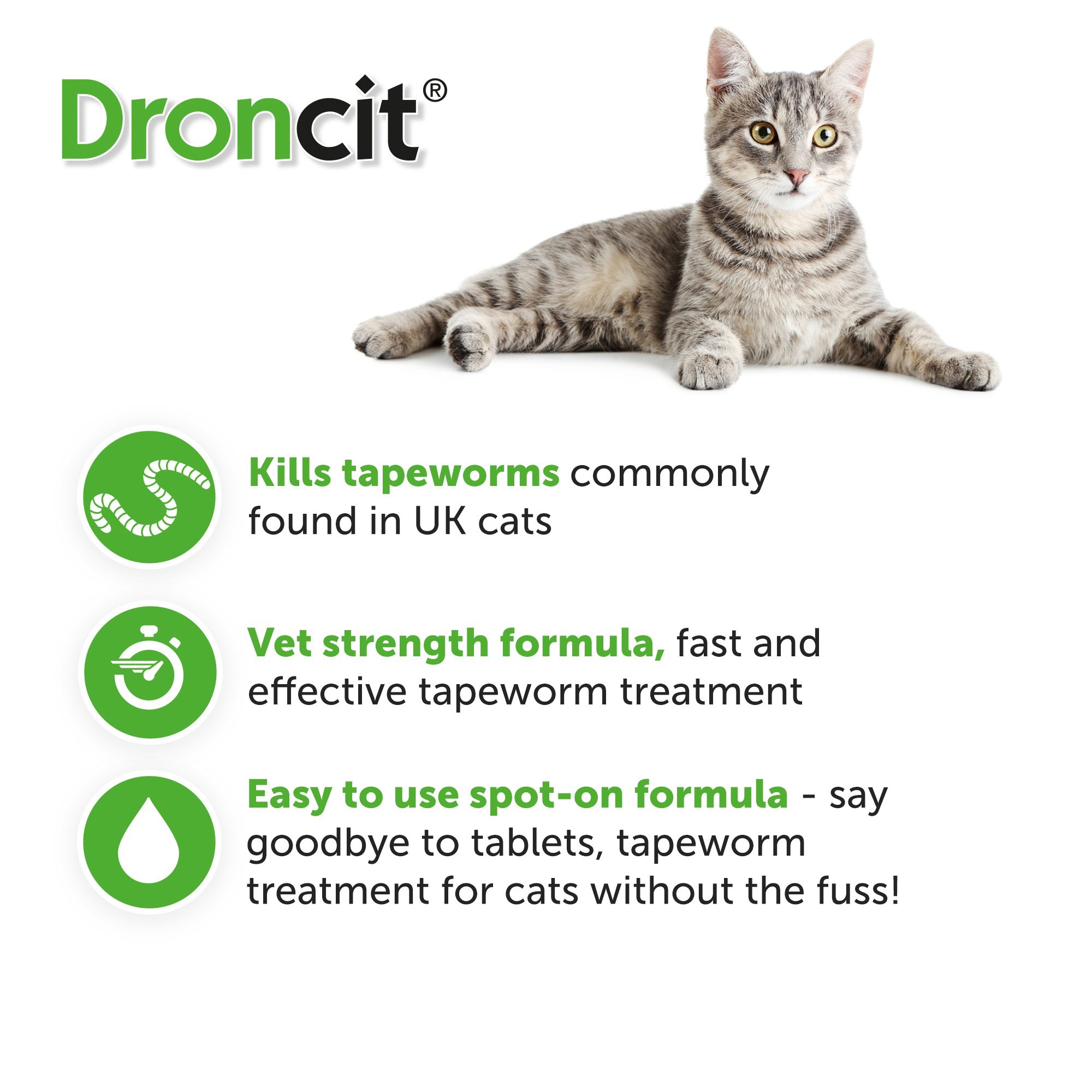 Droncit Spot-On Tapewormer for Cats (from 1kg) 