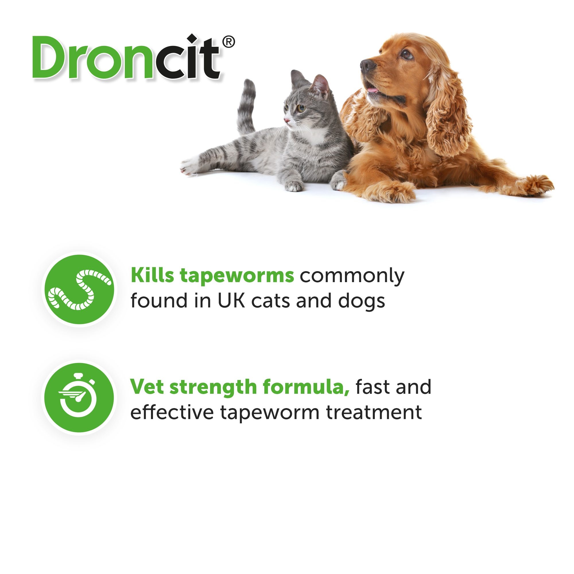 Droncit Tapewormer Tablets for Cats and Dogs 