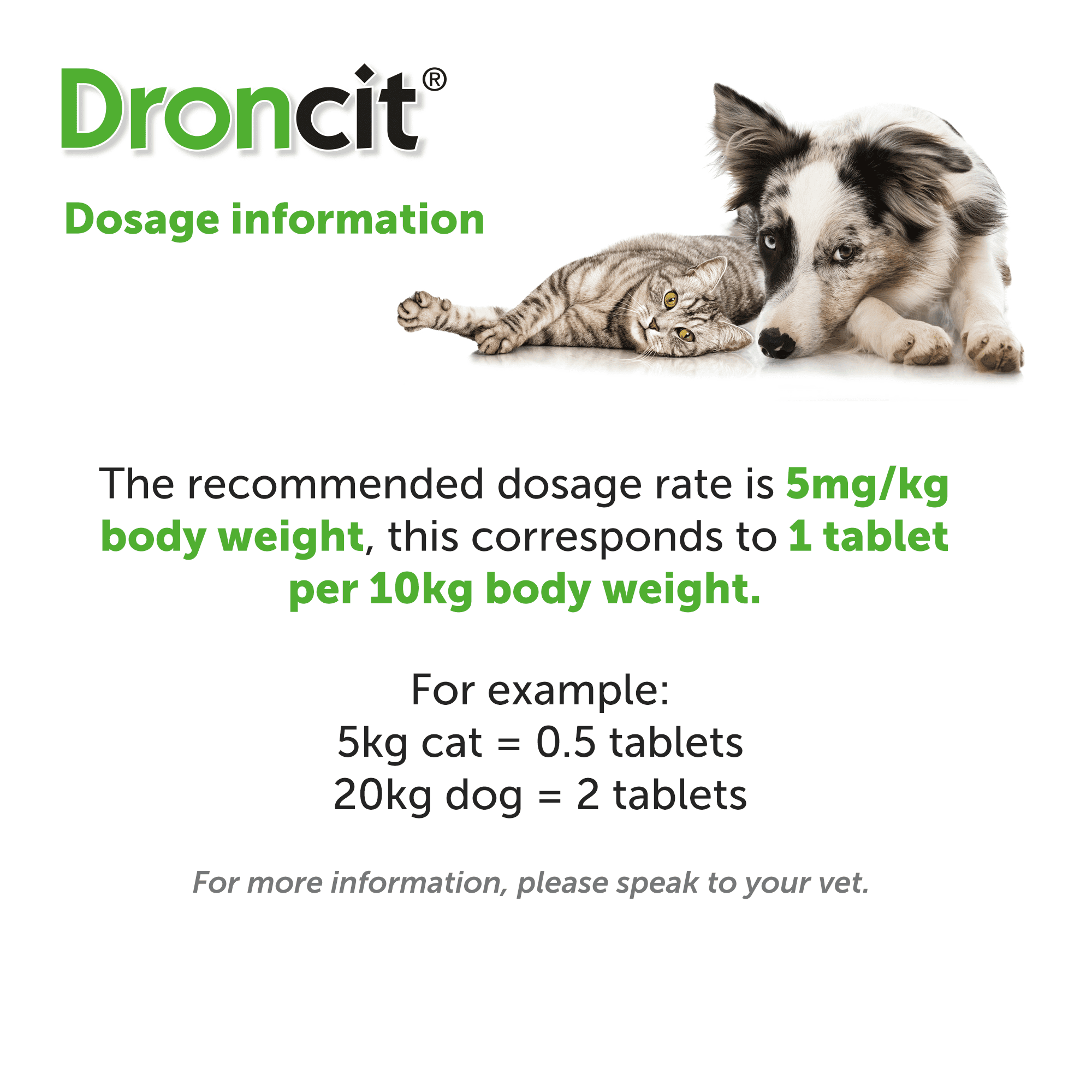 Droncit Tapewormer Tablets for Cats and Dogs 