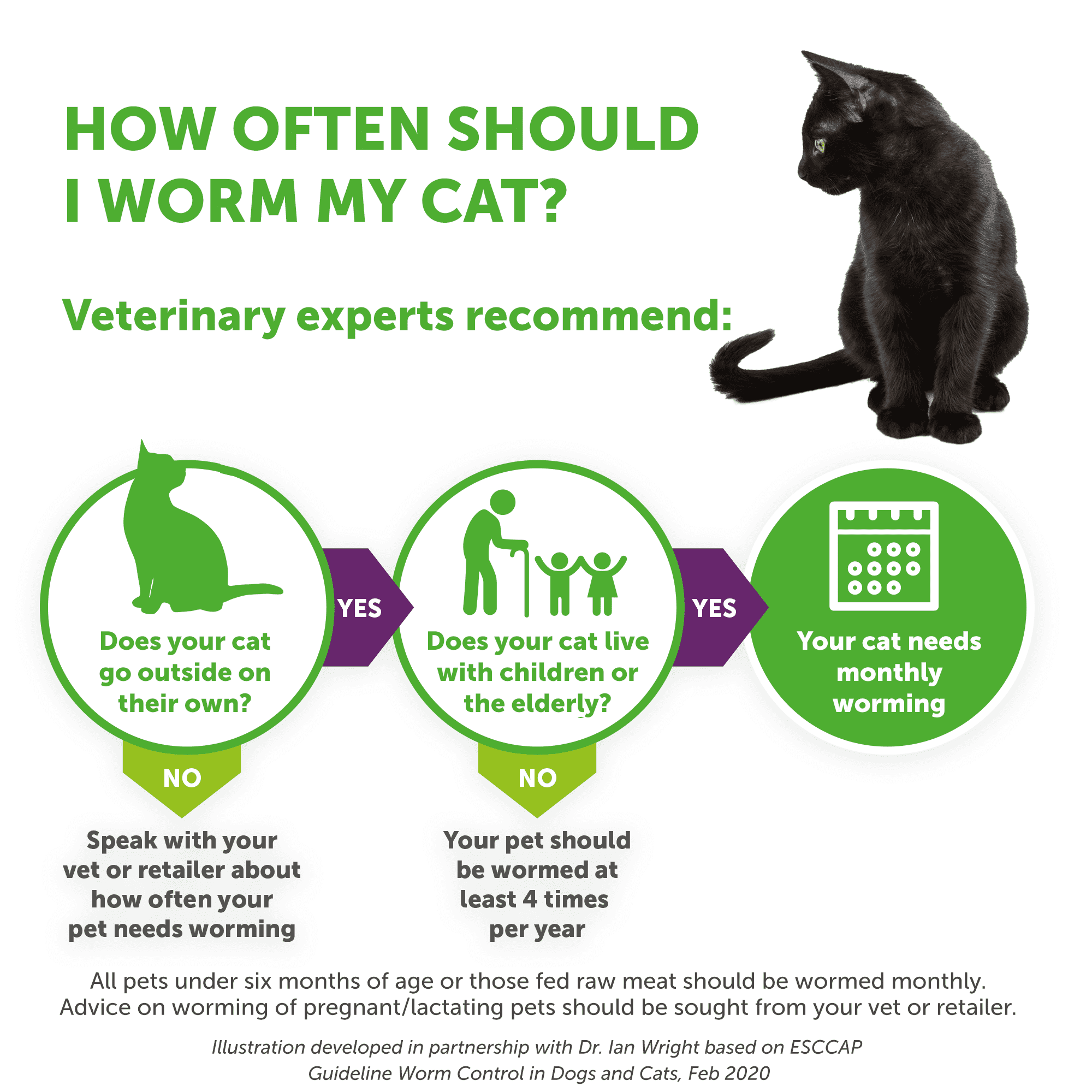 Dronspot Spot On Wormer for Cats 