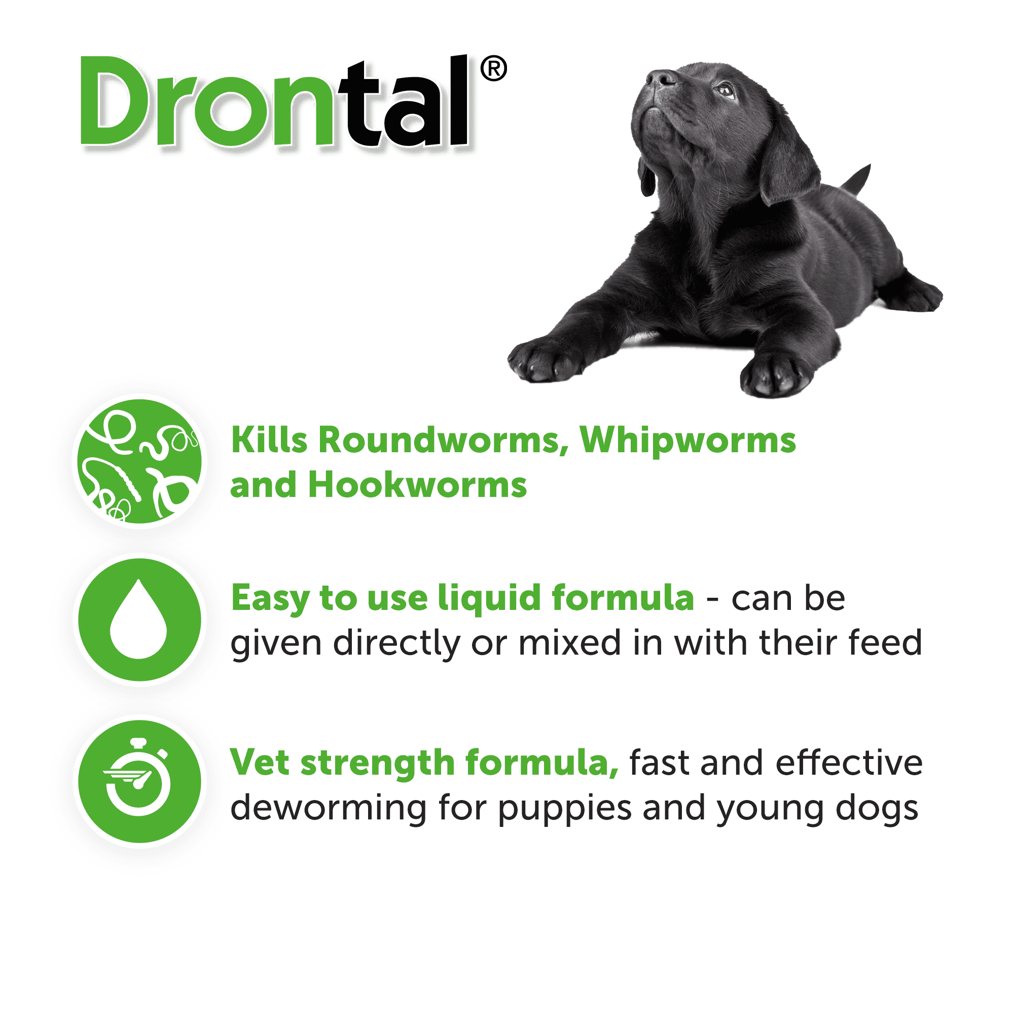 Drontal Puppy Wormer Suspension 