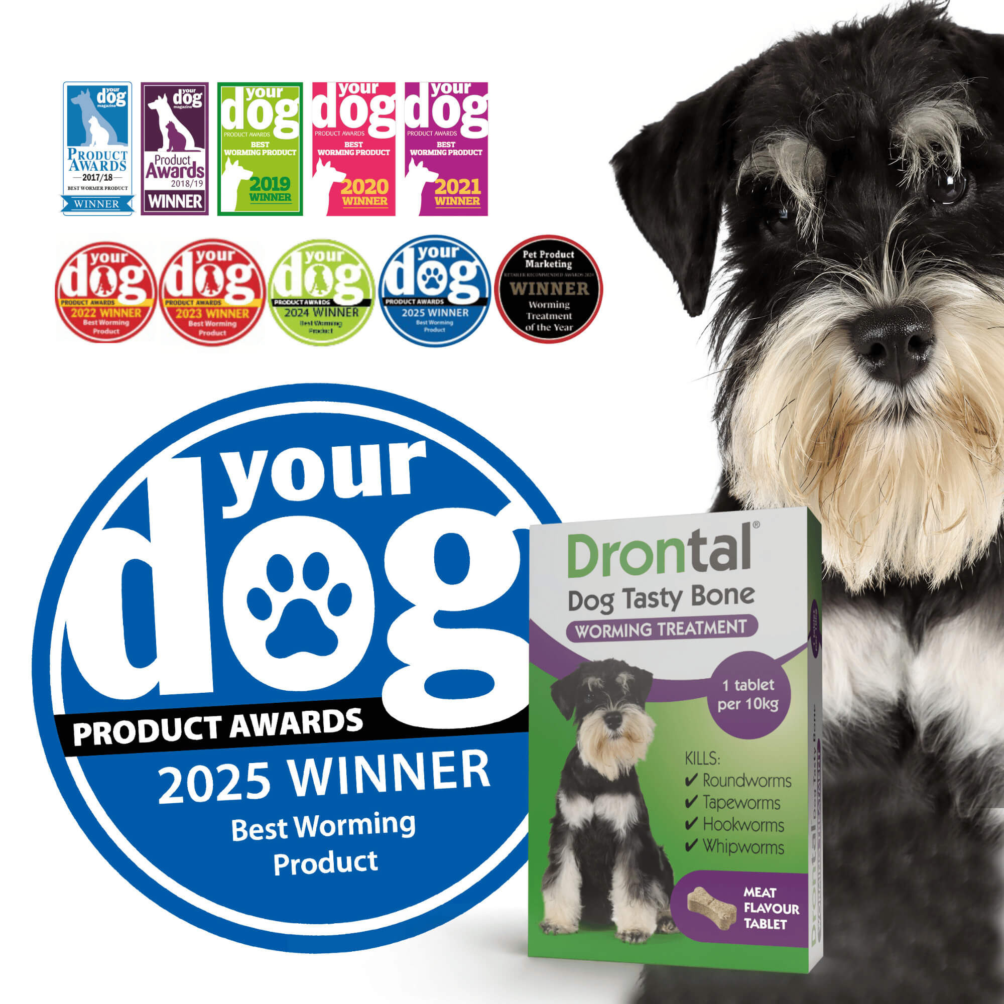 Drontal Tasty Bone Wormer Tablets for Dogs (2 to 20kg) 