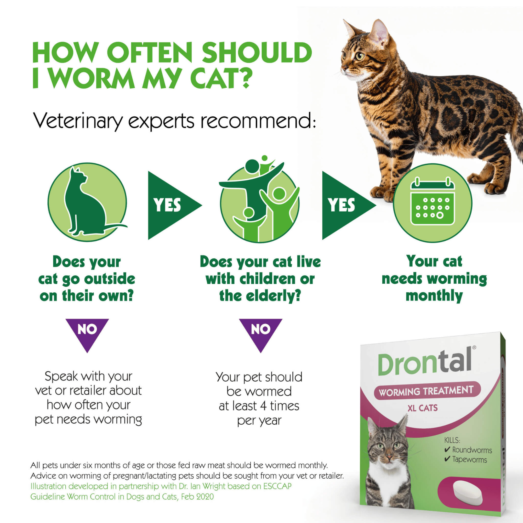Drontal XL Wormer Tablets for Large Cats 