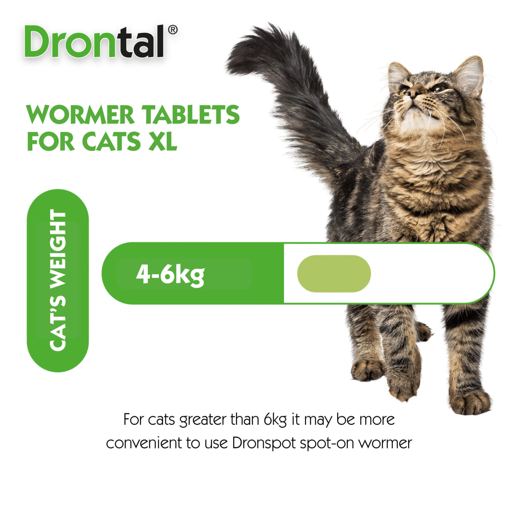 Drontal XL Wormer Tablets for Large Cats 