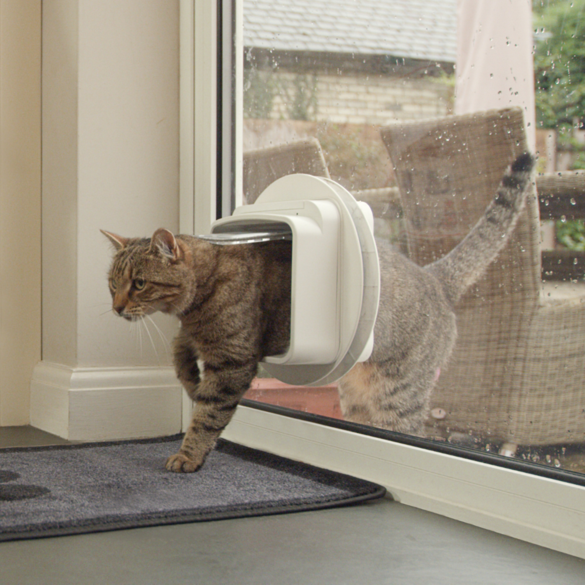 DualScan Microchip Cat Flap - White