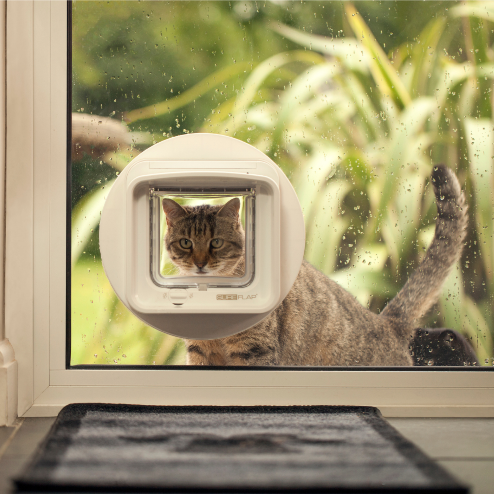 DualScan Microchip Cat Flap - White