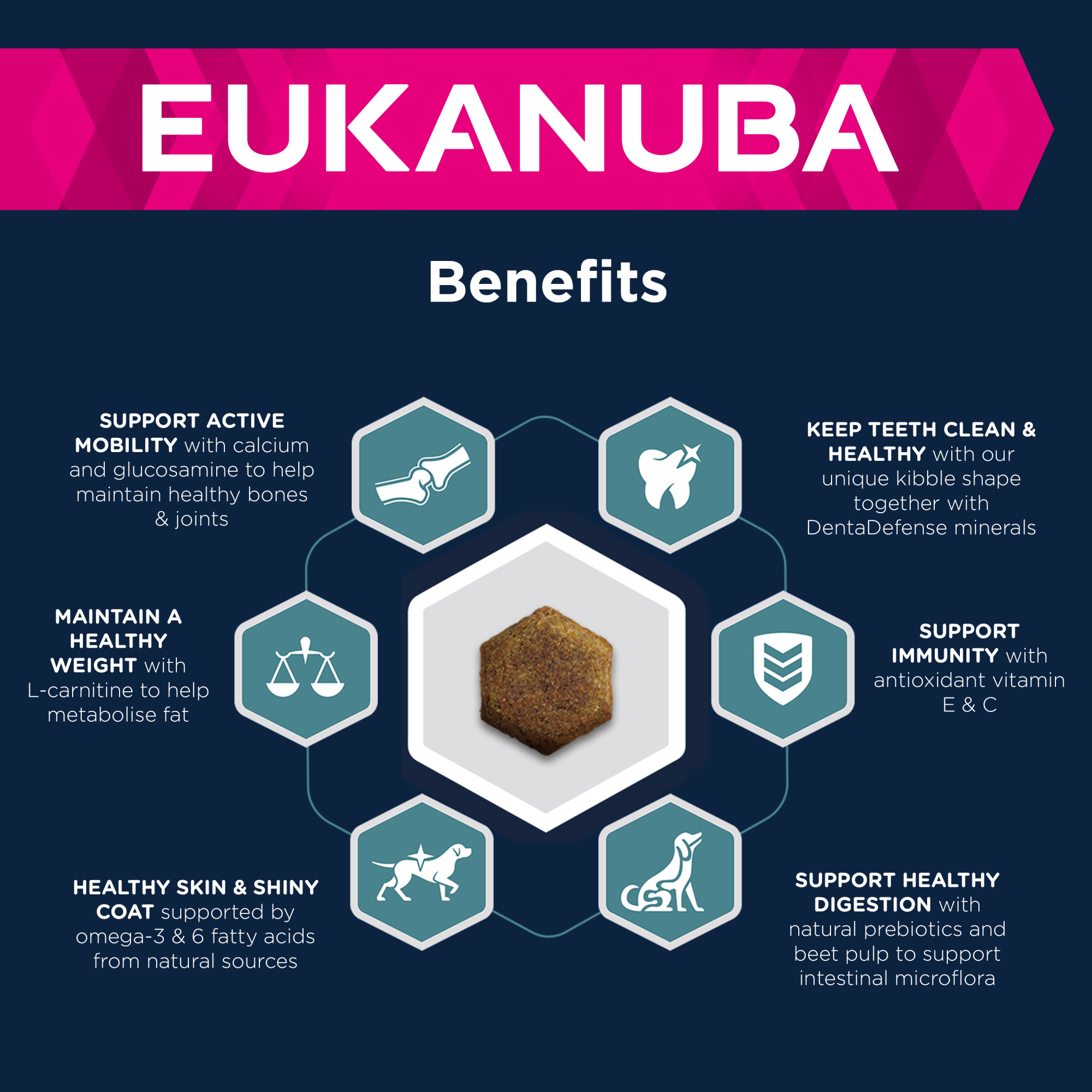Eukanuba Active Adult Large Breed Chicken 12kg