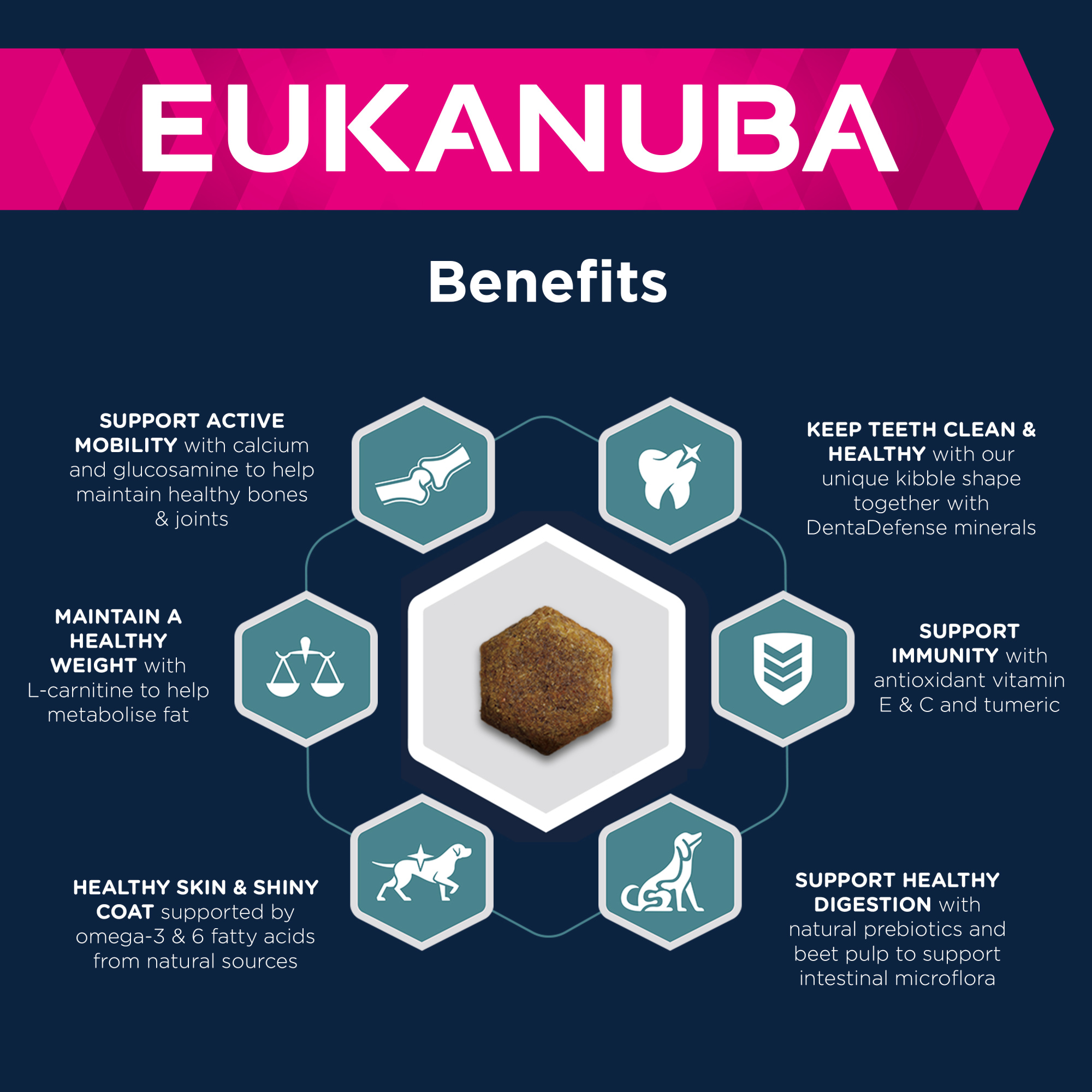 Eukanuba Adult Large Dry Dog Food Lamb & Rice 12kg