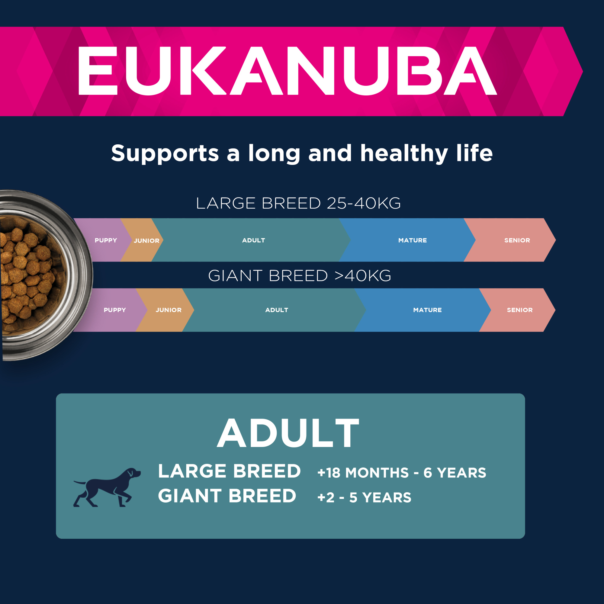 Eukanuba Adult Large Dry Dog Food Salmon & Barley 12kg