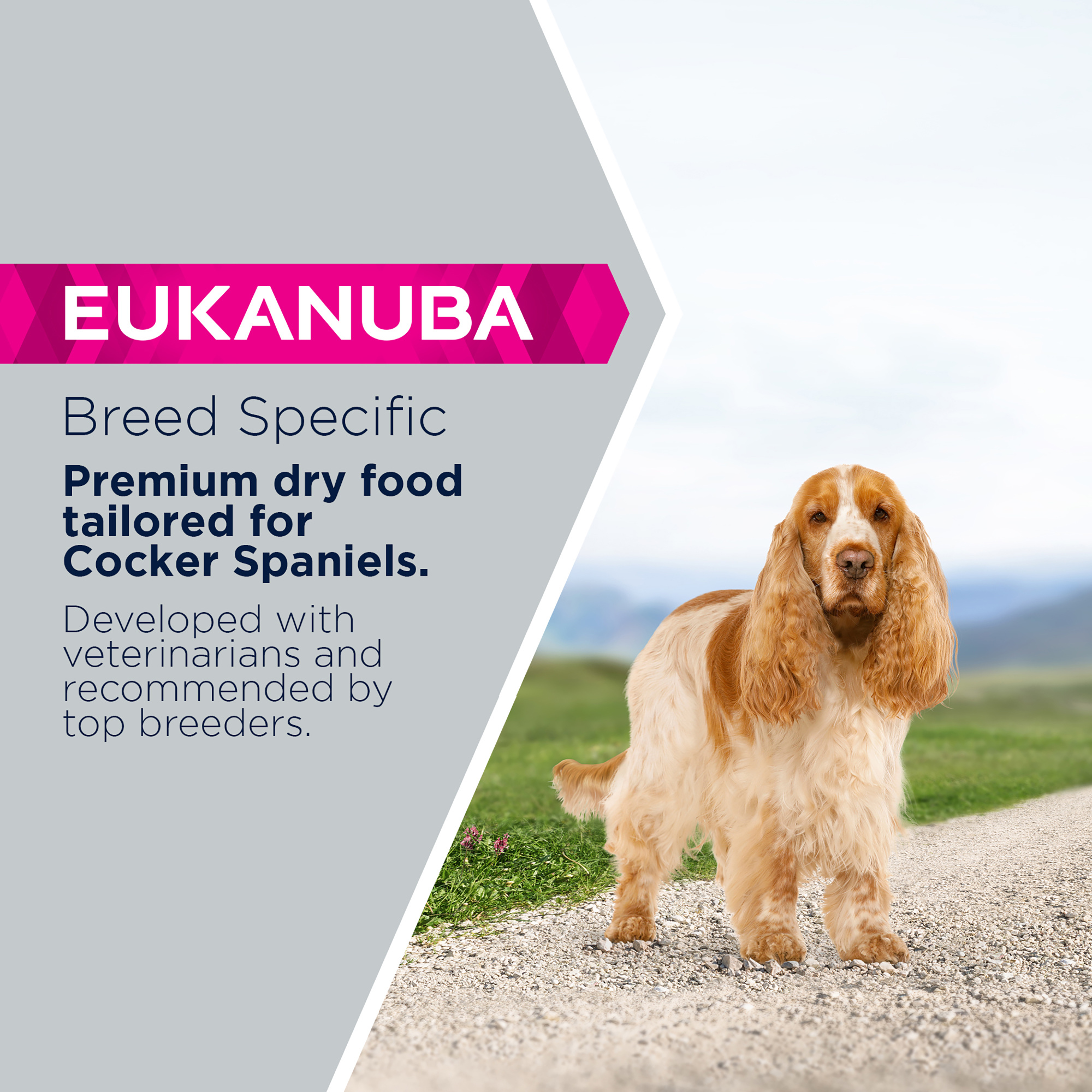 Eukanuba Cocker Spaniel Dry Dog Food Chicken 7.5kg